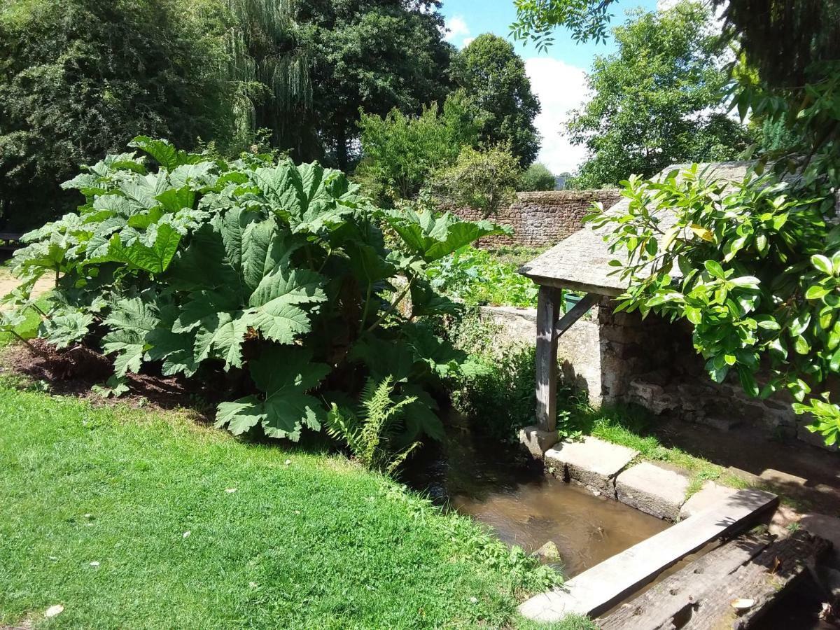 Villa L'Orchidee Lassay-les-Chateaux Exterior foto